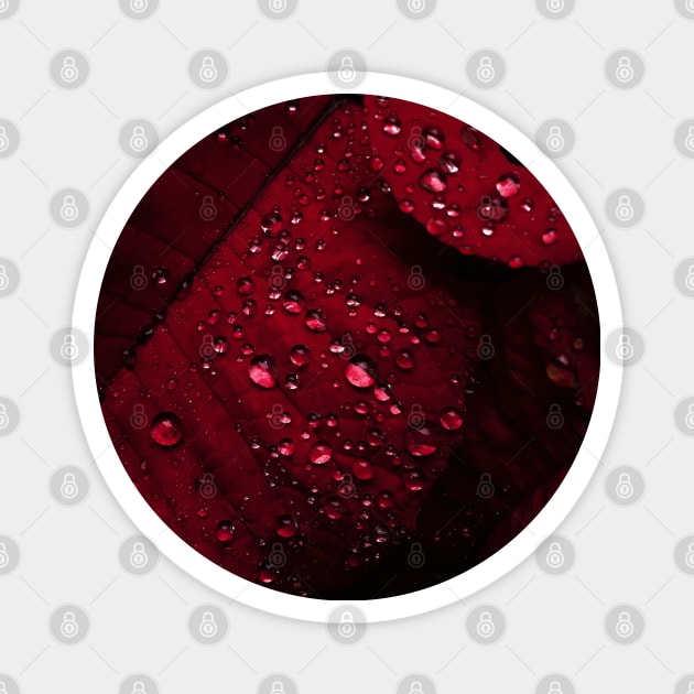 Red Leaf with Water Bubbles Magnet by Merch House